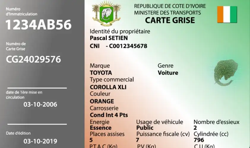 Specimen Permis de Conduire